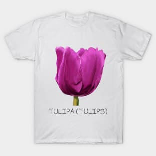 Purple Tulip Genus Print T-Shirt